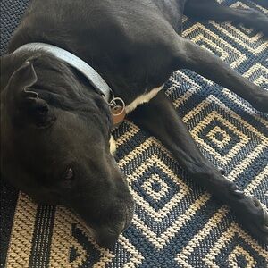 Meet your Posher, Brenda